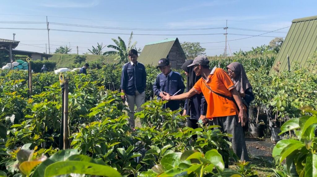 Bagaimana Santri Alfukaat Menjaga Kualitas Tanaman dari Hama dan Penyakit?