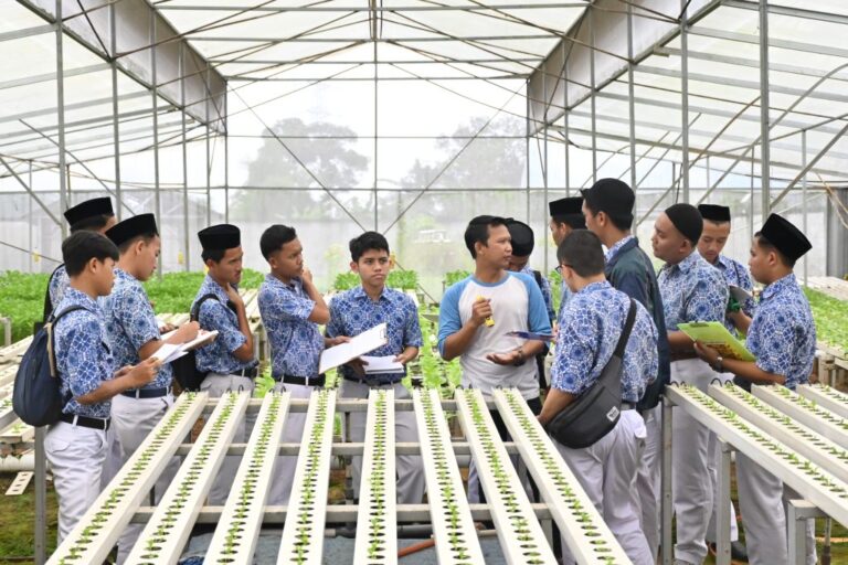 Wisata Bisnis Santri Insan Kamil: Jelajahi Dombastis dan Astana Avocado