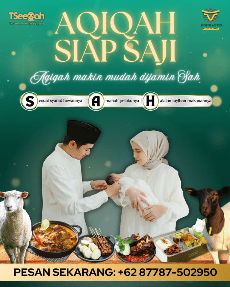 Dombastis Aqeeqah (TSeeqah)