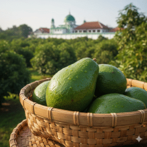 Foto tumpukan alpukat mentega premium segar hasil panen dari kebun organik di dekat pesantren